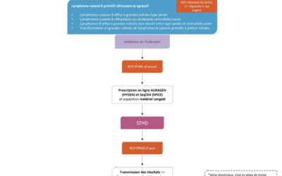 Séquençage très haut débit dans les lymphomes B cutanés primitifs réfractaires ou récidivants